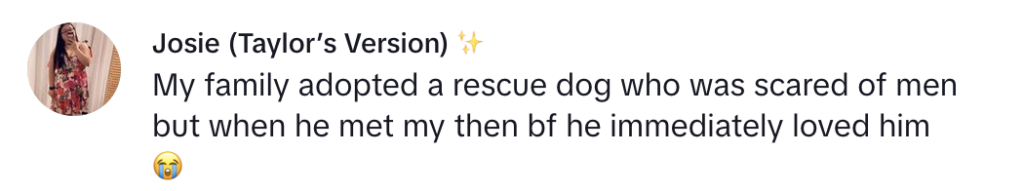 TikTok comment